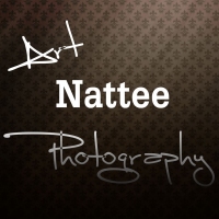 artnattee's profile