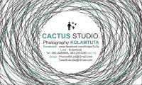 cactusstudio.'s profile