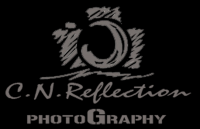 cn_reflection's profile