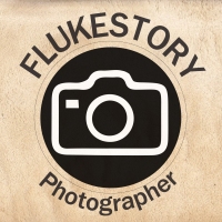 flukestory's profile