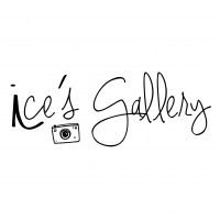 ice.gallery's profile