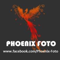 phoenix_foto's profile
