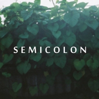 semicolon's profile