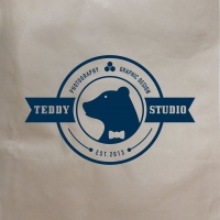 teddystudio's profile