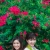 ภาพรับปริญญา มหาวิทยาลัยเทคโนโลยีราชมงคลกรุงเทพ