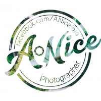 anicefoto's profile