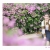 ช่างภาพ ASDEEPER