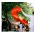 ภาพรับปริญญา สถาบันเทคโนโลยีพระจอมเกล้าเจ้าคุณทหารลาดกระบัง