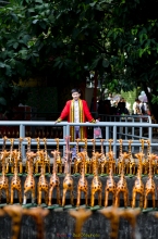 ผลงานการถ่ายภาพ มหาวิทยาลัยเทคโนโลยีพระจอมเกล้าพระนครเหนือ