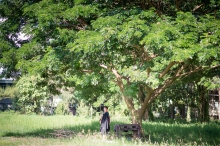 ผลงานการถ่ายภาพ มหาวิทยาลัยพายัพ