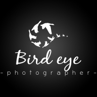 birdeye's profile