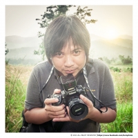 bombampix's profile