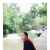 ภาพรับปริญญา มหาวิทยาลัยมหิดล
