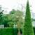 ภาพรับปริญญา วิทยาลัยพยาบาลบรมราชชนนี สุราษฎร์ธานี