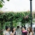 ภาพรับปริญญา มหาวิทยาลัยรังสิต