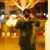 ช่างภาพ CHILLOUTPHOTOS