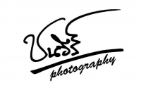 cphotography's profile