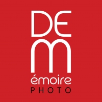 dememoire's profile