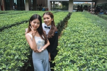 ผลงานการถ่ายภาพ มหาวิทยาลัยมหิดล