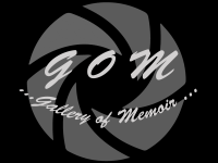 galleryofmemoir's profile