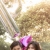 ภาพรับปริญญา มหาวิทยาลัยเกษตรศาสตร์