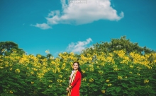 ผลงานการถ่ายภาพ มหาวิทยาลัยเทคโนโลยีพระจอมเกล้าพระนครเหนือ