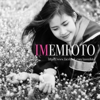 imemfoto's profile