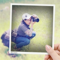 janfoto's profile