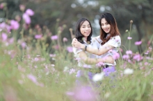 ผลงานการถ่ายภาพ มหาวิทยาลัยเชียงใหม่