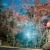 ช่างภาพ KIMPINGPHOTO