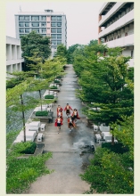 ผลงานการถ่ายภาพ สถาบันเทคโนโลยีพระจอมเกล้าเจ้าคุณทหารลาดกระบัง