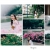ภาพรับปริญญา จุฬาลงกรณ์มหาวิทยาลัย
