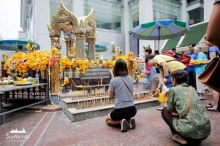 ผลงานการถ่ายภาพ มหาวิทยาลัยเทคโนโลยีราชมงคลธัญบุรี