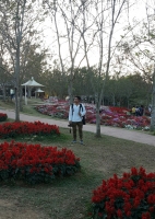 matas.photograph's profile