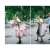 ภาพรับปริญญา จุฬาลงกรณ์มหาวิทยาลัย