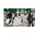 ภาพรับปริญญา จุฬาลงกรณ์มหาวิทยาลัย