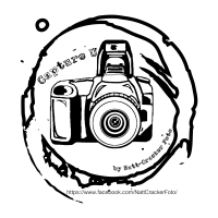 nattcrackerfoto's profile