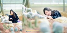 ผลงานการถ่ายภาพ มหาวิทยาลัยเชียงใหม่
