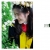 ภาพรับปริญญา สถาบันบัณฑิตพัฒนบริหารศาสตร์ (NIDA)
