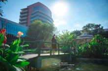 ผลงานการถ่ายภาพ มหาวิทยาลัยรังสิต