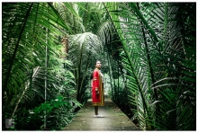 ผลงานการถ่ายภาพ มหาวิทยาลัยเทคโนโลยีพระจอมเกล้าธนบุรี