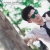 ภาพรับปริญญา มหาวิทยาลัยหัวเฉียวเฉลิมพระเกียรติ