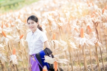 ผลงานการถ่ายภาพ มหาวิทยาลัยเชียงใหม่