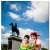 ภาพรับปริญญา มหาวิทยาลัยเวสเทิร์น