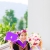 ภาพรับปริญญา มหาวิทยาลัยพะเยา