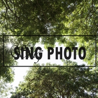 singphoto's profile