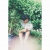 ช่างภาพ SMILESHOT