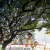 ภาพรับปริญญา มหาวิทยาลัยสุโขทัยธรรมาธิราช