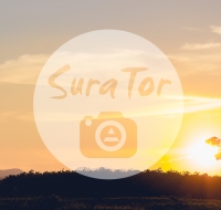 surator's profile