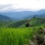 ช่างภาพ VITT